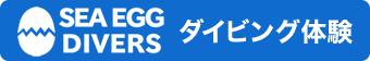 ダイビング体験
