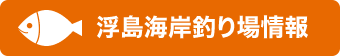 浮島海岸釣り場情報